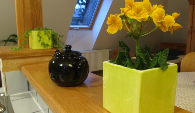 Apartmá Dostálovi Kutná Hora